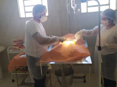 Zoonoses de Lagarto realiza cirurgias de castração de pets